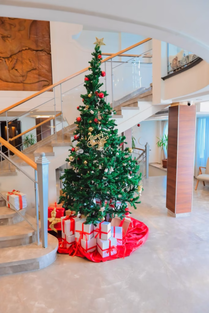 MS Nile Paradise Nile Cruise Reception